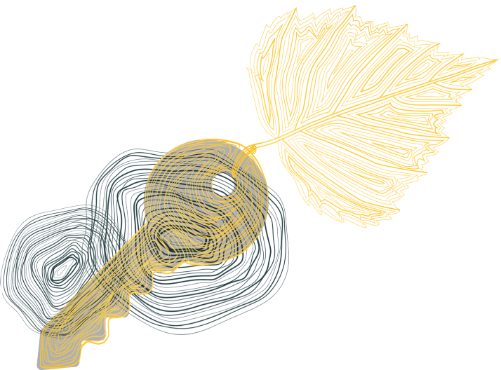 декоративное изображние